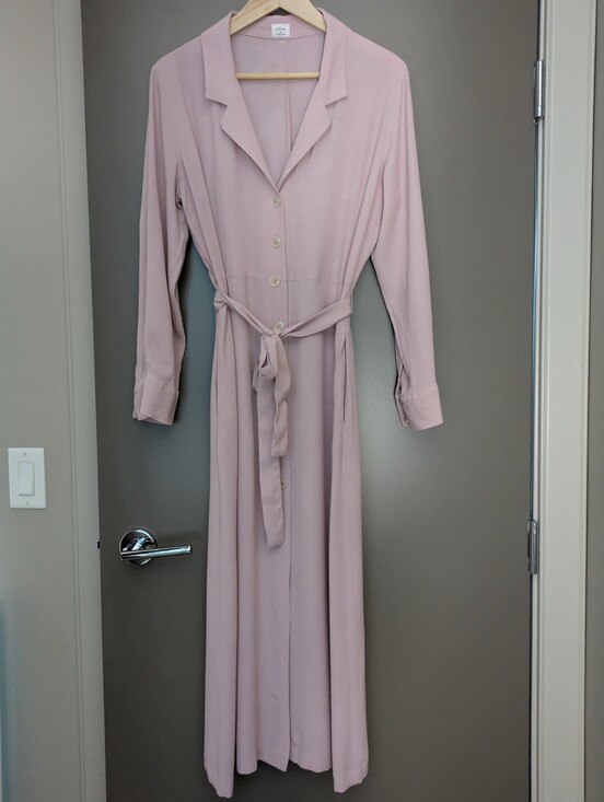 Wilfred Dresses & Skirts - Wilfred Blush Pink Button Front Midi Dress Size Medium Long Sleeve Shirt Dress